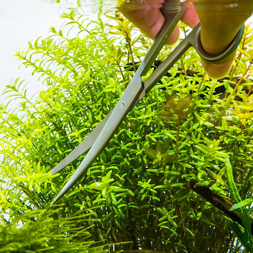 水草修剪工具套装镊子直剪弯剪重水草夹加长平沙铲不锈钢水草剪刀