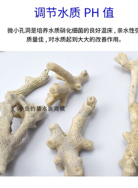 珊瑚砂沙珊瑚石珊瑚骨鱼缸过滤材料稳定水质PH天然底砂水族用品