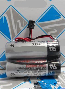 xp ER17500V 2个组合  ER17500VPS2C53 (3.6V 5400mah ) 进口