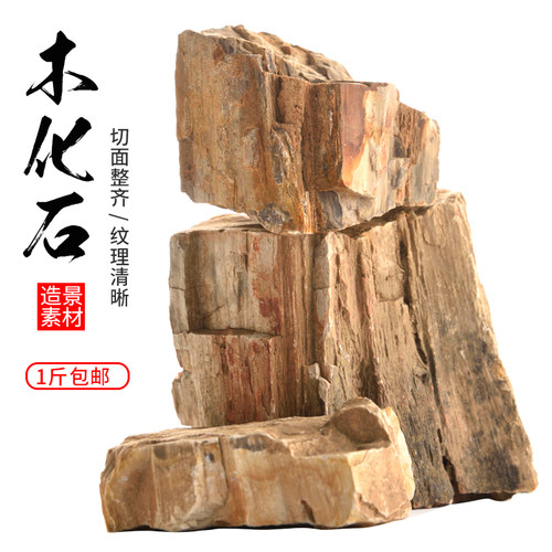 天然木化石原石鱼缸造景石草缸假山石水族箱装饰造景素材木纹理石