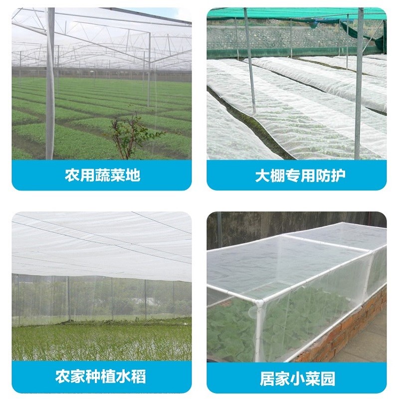 防虫网窗纱网防蚊子苍蝇大棚果树杨梅树农用养猪场加厚加密白色