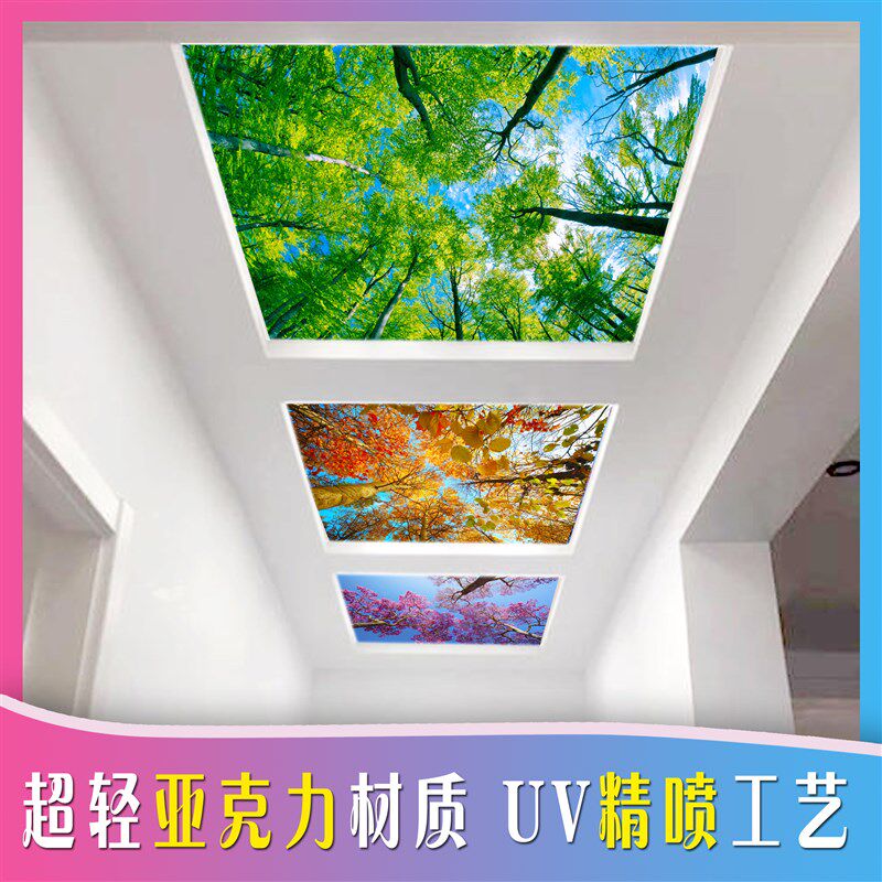 艺术玻璃亚克力有机UVr天花吊顶透光板过道电梯蓝天白云四季花定