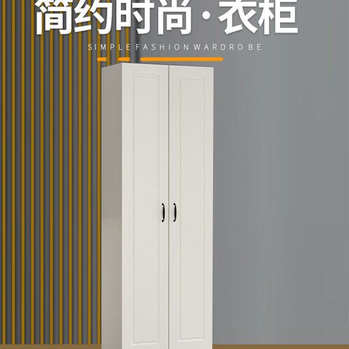 两双门超薄简易窄小衣柜2r门单人30cm深度小户型薄60厘米公分宽长