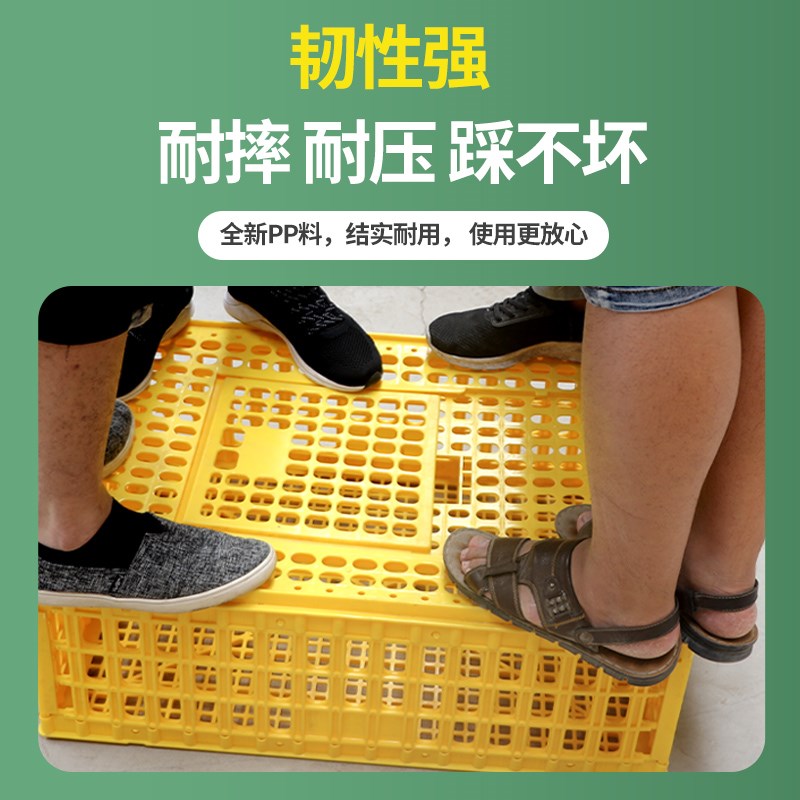 鸡笼塑料周转箱成鸡鸭鹅运输筐加厚大码鸡笼鸡鸭鹅鸽笼周转运输笼