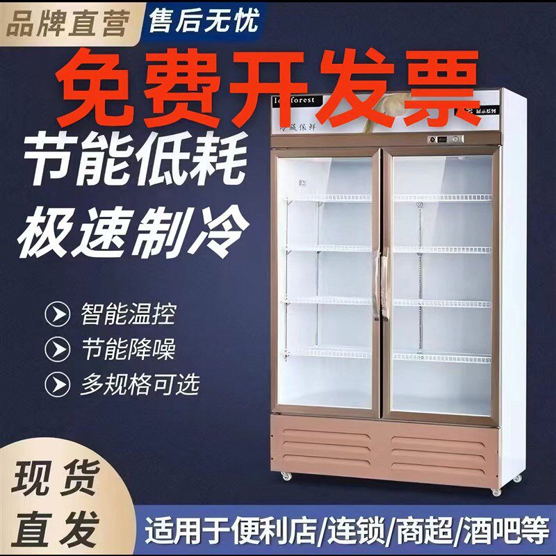 风冷铜管保鲜柜双门立式冷藏展示柜三开门酒水柜商用饮料柜啤酒柜