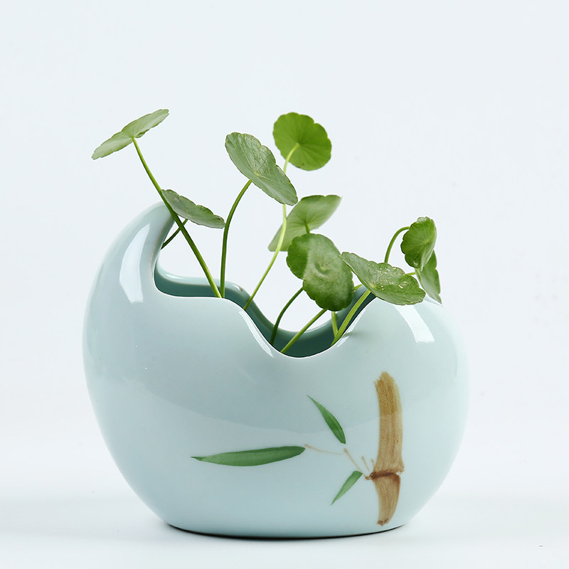 水培容器创意简约大植物器皿绿萝多肉铜钱草水仙花盆陶瓷特价清仓