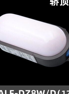 电梯井道灯轿顶灯SALF-DZ8W底坑SALF-DZ10W/D应急照明LED壁灯