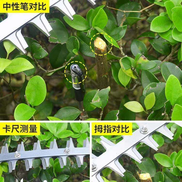 1051充电式无刷篱锂电动小型单手弯刀采茶机机茶叶树修剪球绿机割