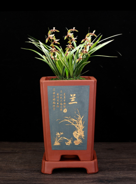 精品紫砂兰花专用盆手工桌面室内君子兰四方古典陶瓷兰草盆景花盆