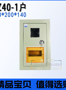 PZ40 1户电表箱 金属铁皮电表箱 带空气开关C45安装位单相电表箱