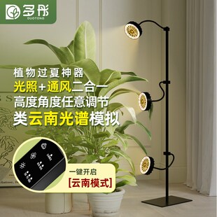 多彤类云南仿太阳全光谱植物多肉补光灯带通风Q绿植热植生长灯落