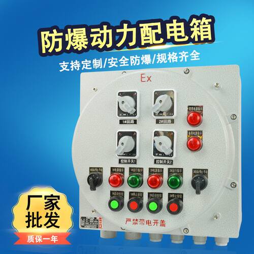 防爆配电箱防爆照明箱动力控制仪F表箱 检修接线空箱开关箱