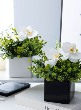 仿真假蝴蝶兰尤加利叶新客厅餐桌茶几绿植装饰艺