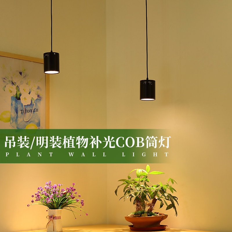 全光谱生长灯假山盆景多肉吸顶天吊线防太阳光室内补光灯