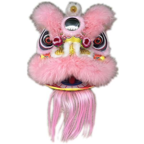 塑料儿童羊毛狮子头小孩舞狮表演舞台演出道具少年醒狮柜台品