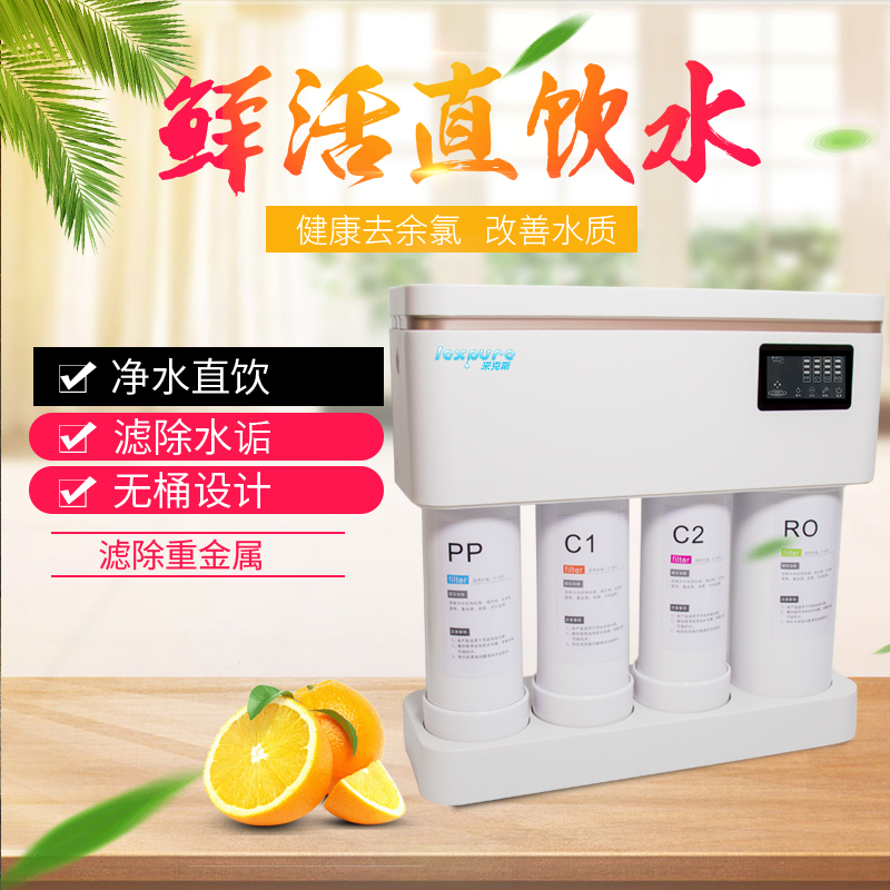 集成水路400/600G加仑无桶RO自动冲洗反渗透纯水机快接直饮净水器