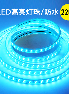 灯带led灯条贴片冰蓝色220v双排家用装饰户外防水超亮单色软灯带