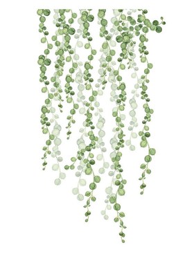 绿色垂条贴画墙裙自粘墙贴客厅墙角家居电视背景墙装饰贴纸可移除