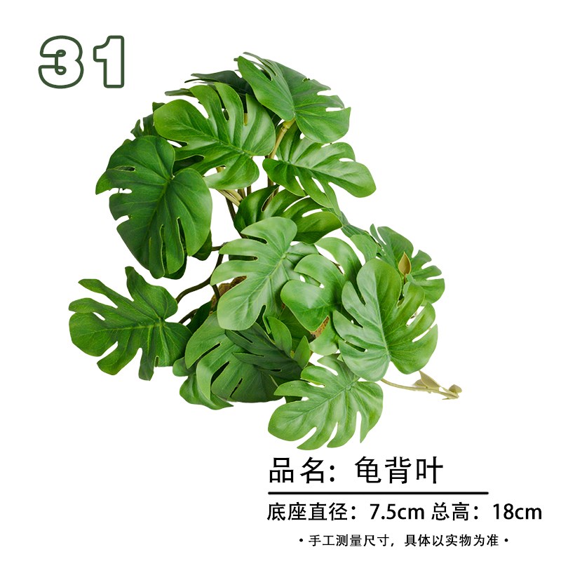 爬宠饲养箱造景陆龟蜥蜴变色龙热带雨林真植物生态缸沙漠造景装饰