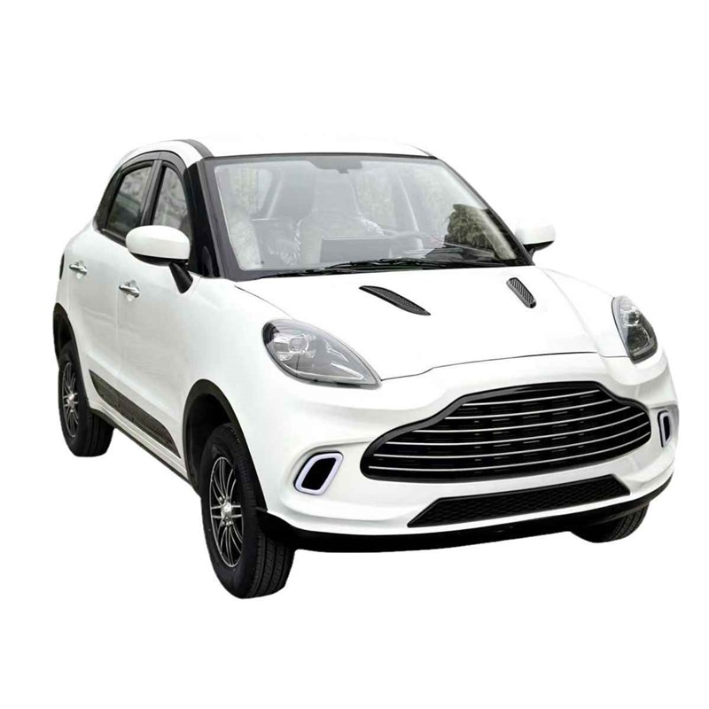 新能源老头乐电动四轮车油电两用轿车接送学生全封闭家用四轮车