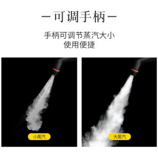 高温蒸汽清洁机熏蒸机高压清洗机甲醛治理蒸汽机清洁定制110V