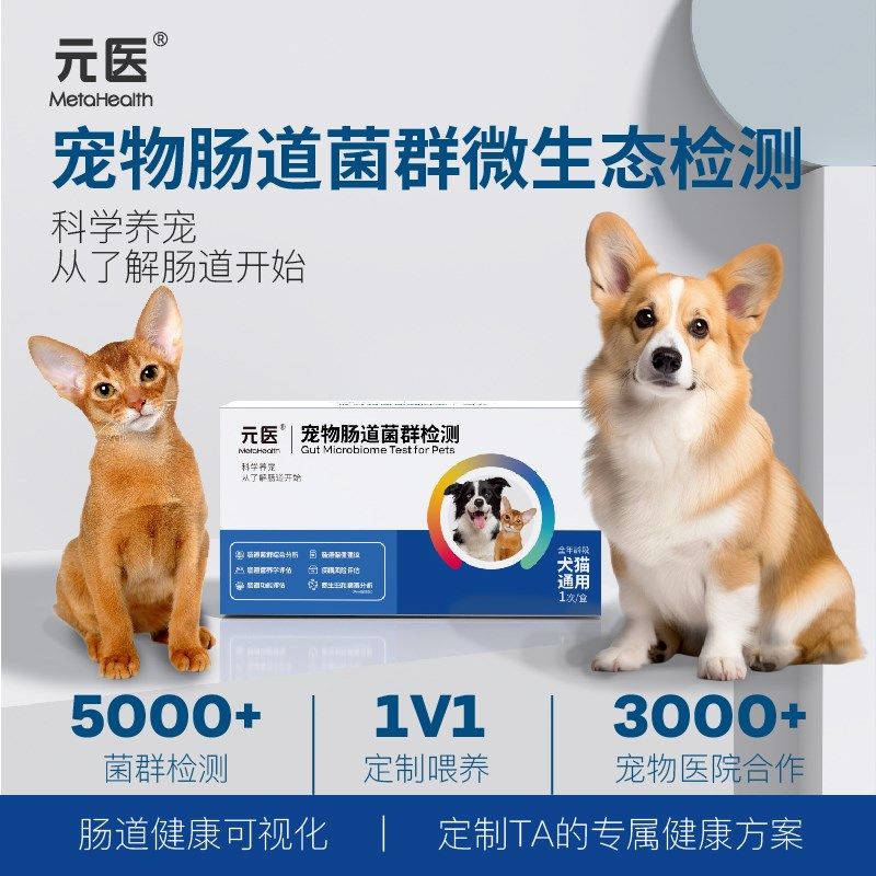 元医宠物肠道微生态检测猫狗肠道检测居家检测猫狗玻璃胃