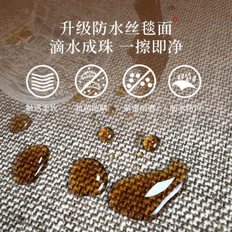 地垫入户门进门地毯门口家用门垫防滑客厅入户高级玄关脚垫可裁剪