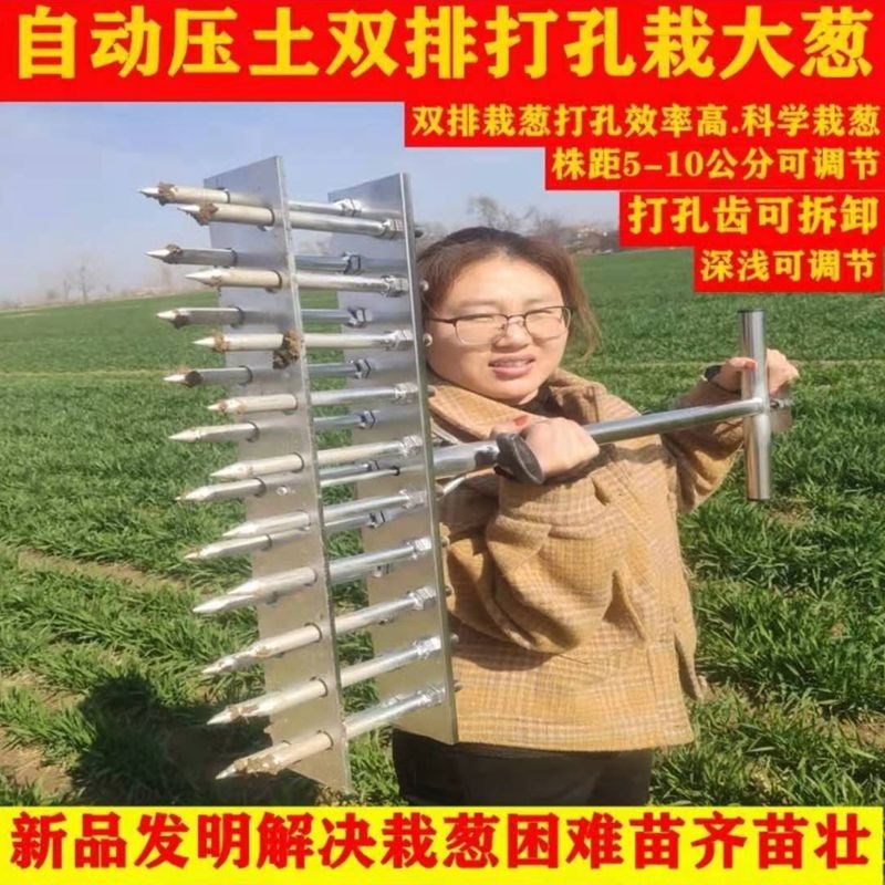 种葱神器载葱载苗器打眼大葱叉子自动打孔工具洋葱种菜移栽移苗器