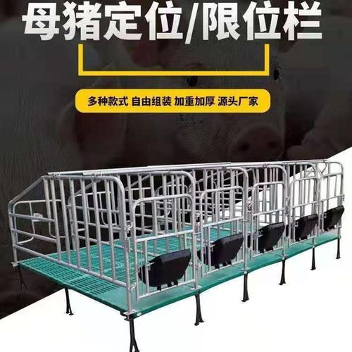 母猪定位栏落地式限位栏带漏粪板定位栏加厚猪用母猪位