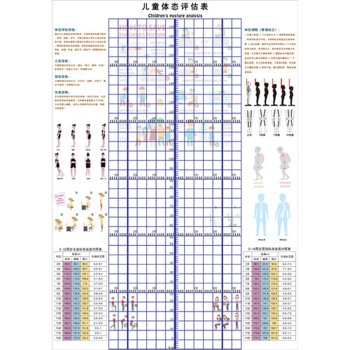 儿童身高体态评估表站姿体测网格壁画背景墙纸中小幼儿形体评估图