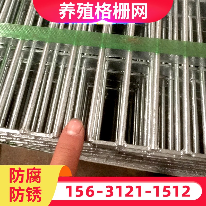 鸽舍长孔镀锌地网漏粪格栅养殖钢格板鸽子扁铁地网排水沟盖板