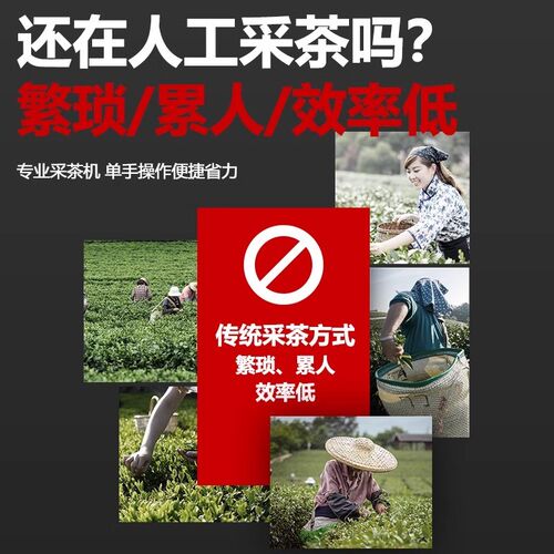 新款电动采茶机充电式茶叶修剪机单人小型采摘机茶树剪茶机摘茶机