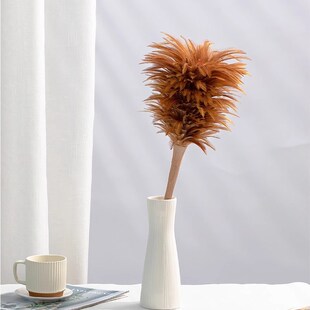 手工真鸡毛掸子老式家用除尘禅子车用清洁扫灰不掉毛装饰插瓶摆件