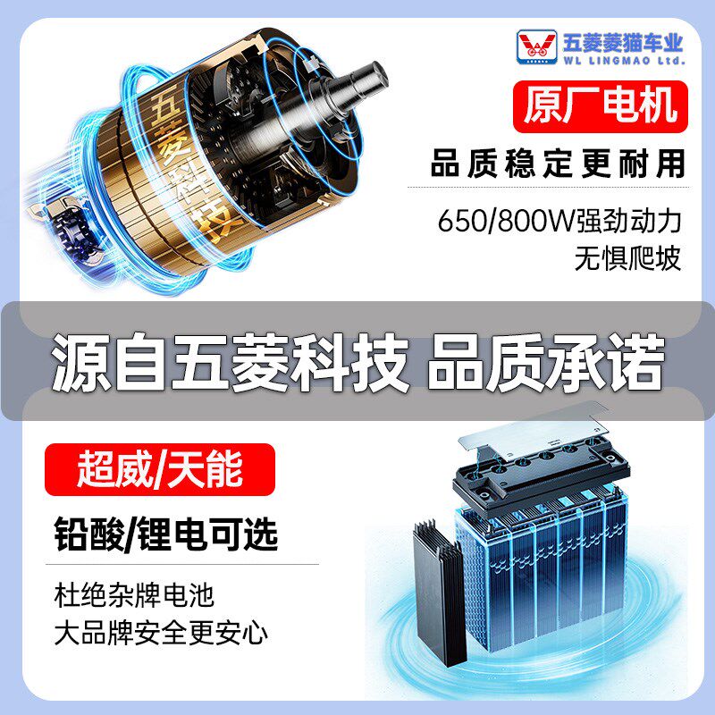 五菱菱猫新款老年人接送孩子代步车四轮电动车老人电动代步车双人