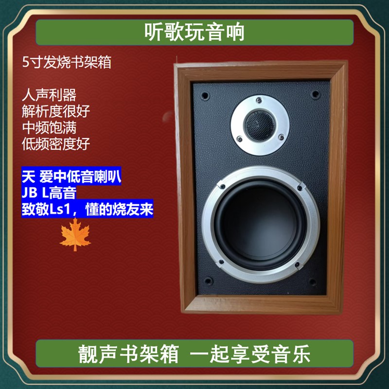 HiFi发烧书架箱5寸DrIY音箱 天爱喇叭人声靓 书房卧室达菲胆机搭