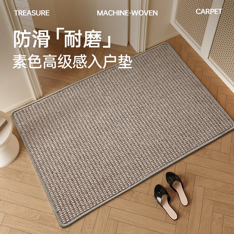 2025新款门内地毯入户玄关门垫门口进门脚垫高端耐脏防滑室内地垫