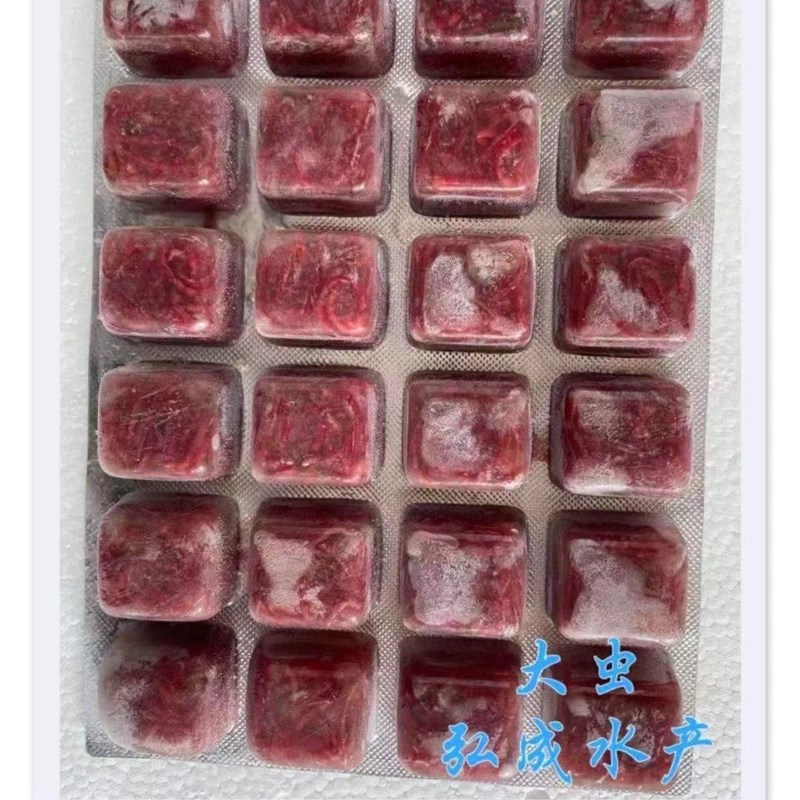 丰年虾 赤血虫 牛心汉堡 七彩 埃及等小型鱼食