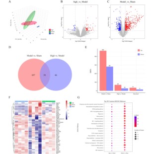 生信分析服务 TCGA/GEO 单细胞测序 转录组分析 多组学联合分析