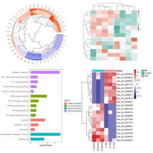 聚类热图，圆圈热图，GEO数据挖掘 ，TCGA数据分析
