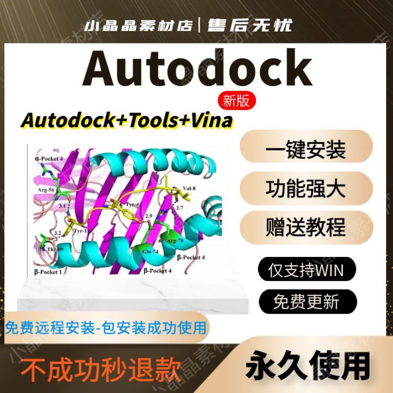 Autodock软件vina远程安装分子对接操作视频教程闪退解决支持win