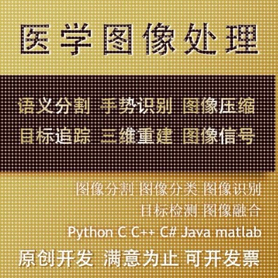 matlab医学图像处理分割代编图像识别python图像深度学习语义分割