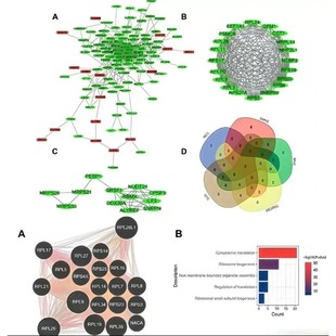 基础医学科研实验外包代做细胞动物疾病实验生信数据分析代做服务