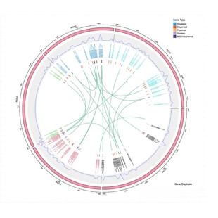 MATLAB/Simulink，Boost（升压斩波）电路仿真模型