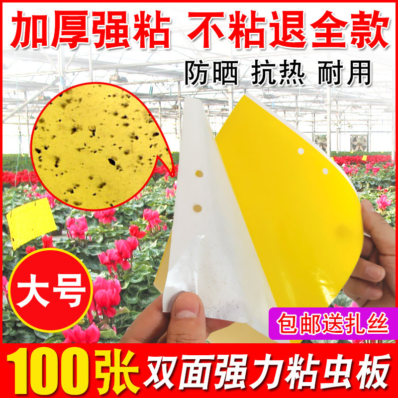粘虫板黄b板诱虫板纸贴双面黄色沾黏蚊子杀黑虫胶灭小飞虫果蝇大