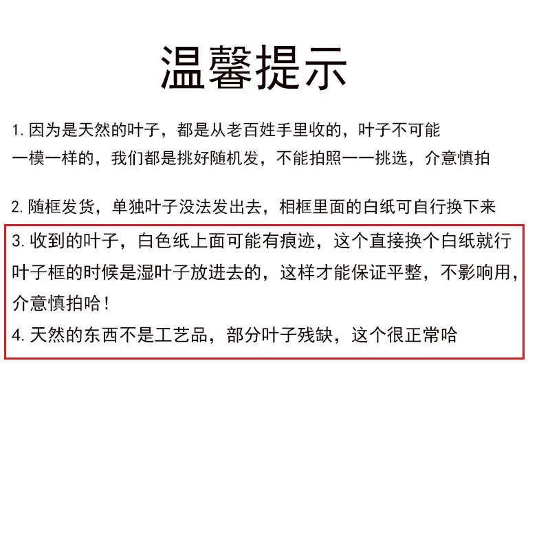 西藏林芝墨脱天然莲花叶精挑发货送礼送朋友送同学送老师送女友