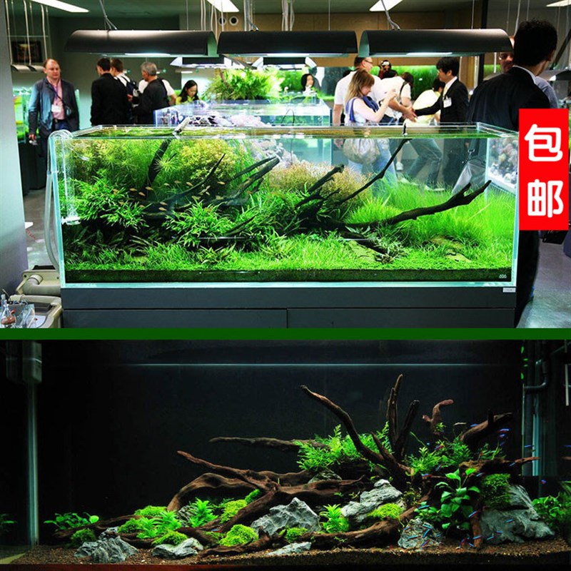 沉木造景套餐景石超白缸鱼缸天然造景新品水族