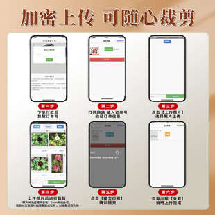 洗照片打印手机照片洗晒高清洗相片塑封冲洗定制照片高清冲印