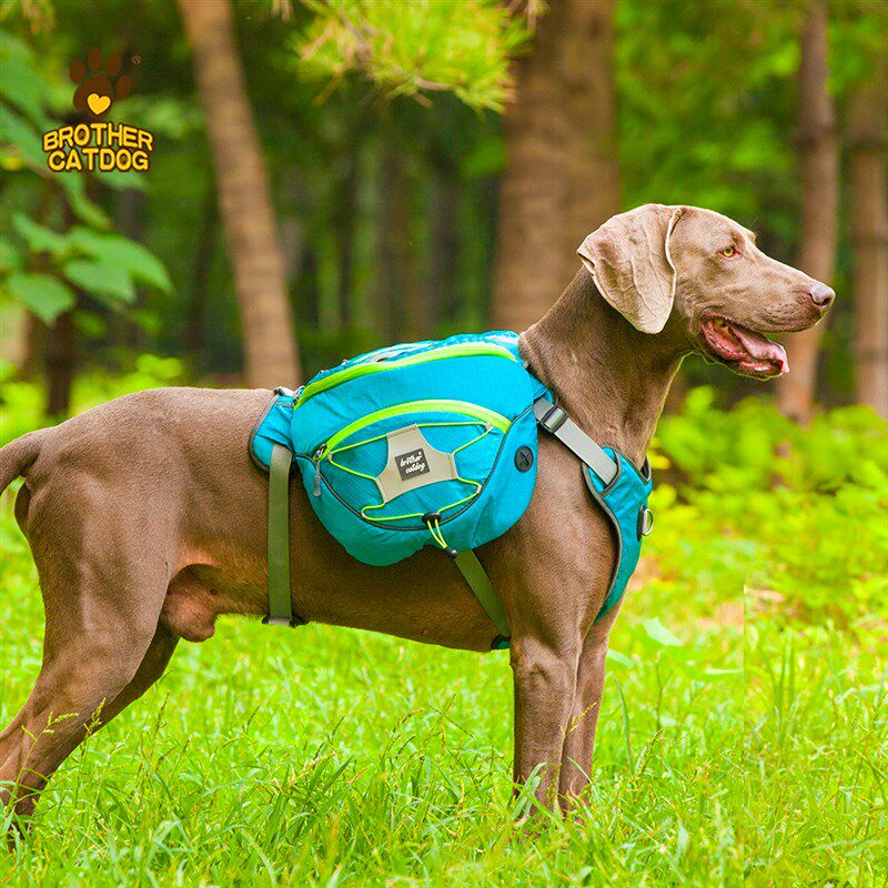 狗狗自背包大型犬金毛书包外x出便携宠物狗背包驮包胸背带大狗背