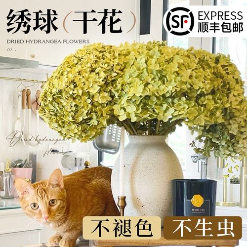绣球干花真花风干天然diy材料客厅摆设室内插花束装饰摆件高级感
