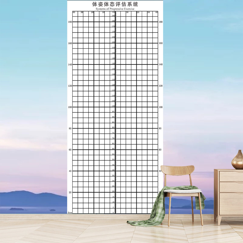 专业定制简易健身房工作室体态评估表瑜伽馆私教体测图壁画墙纸布